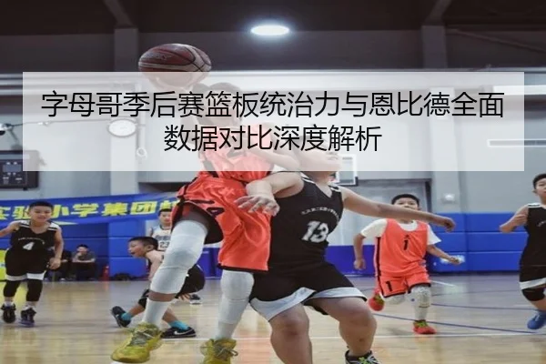 字母哥季后赛篮板统治力与恩比德全面数据对比深度解析